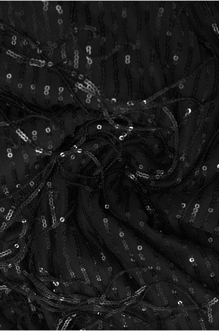 Tulle decorated with sequins and fringes IT4004877