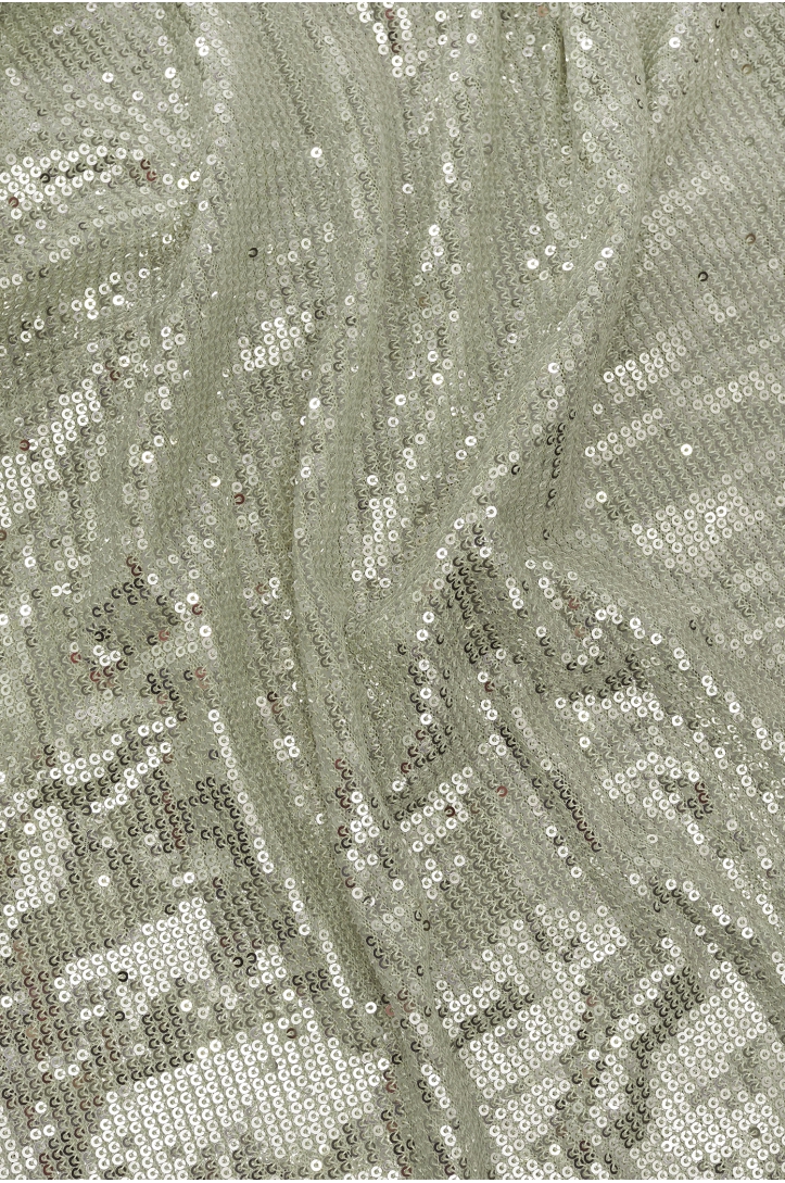 Sequin tulle IT4004881