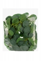 Eucalyptus Garland