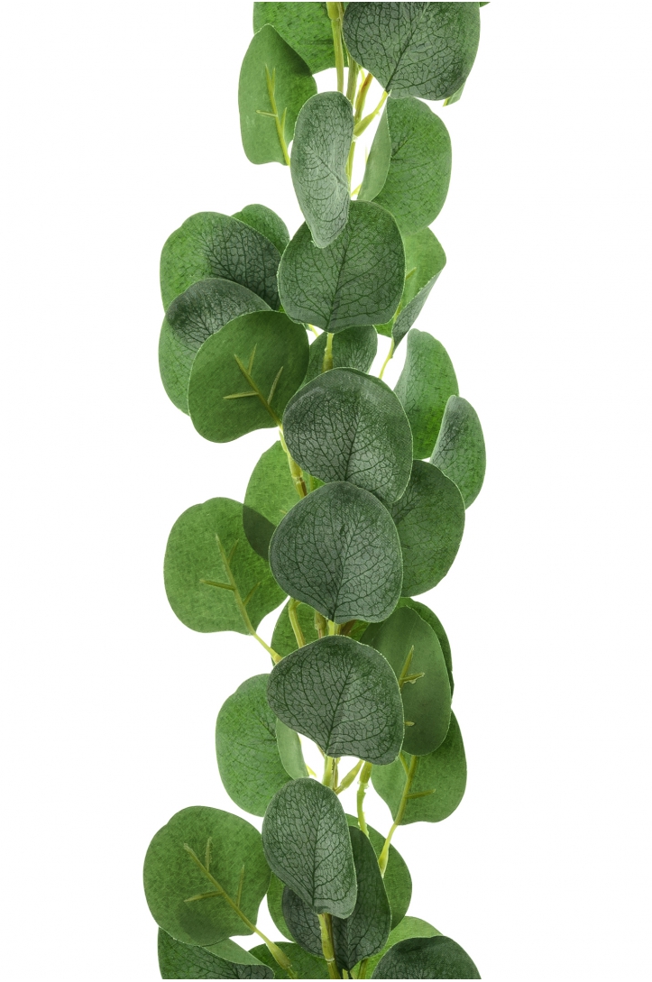 Eukalyptus-Girlande