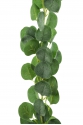 Girlanda Eukaliptus