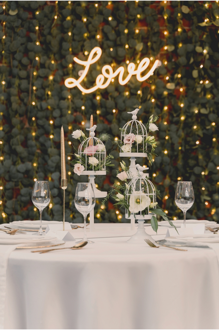 Eucalyptus Garland LED