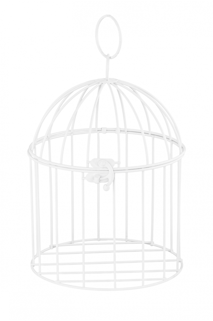 Decorative Metal Cage