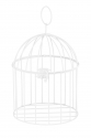 Decorative Metal Cage
