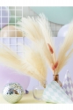 Artificial Pampas Grass 10 x 45 cm