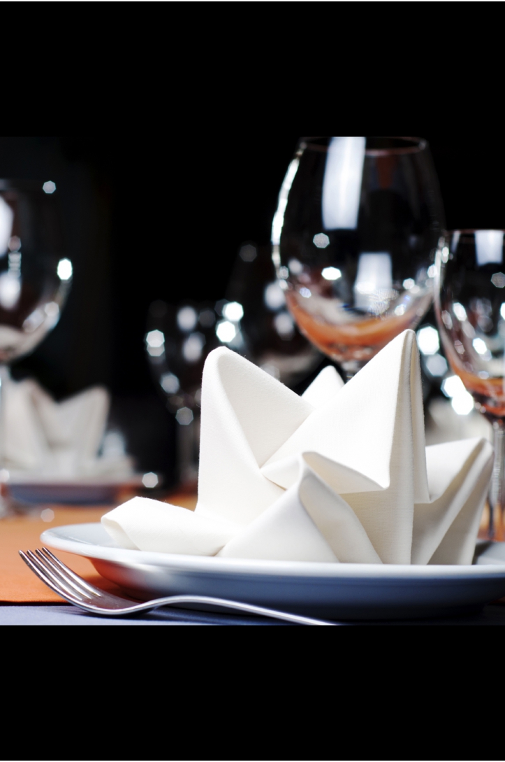 Fabric napkins 35x35cm