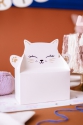 Cake boxes kitten