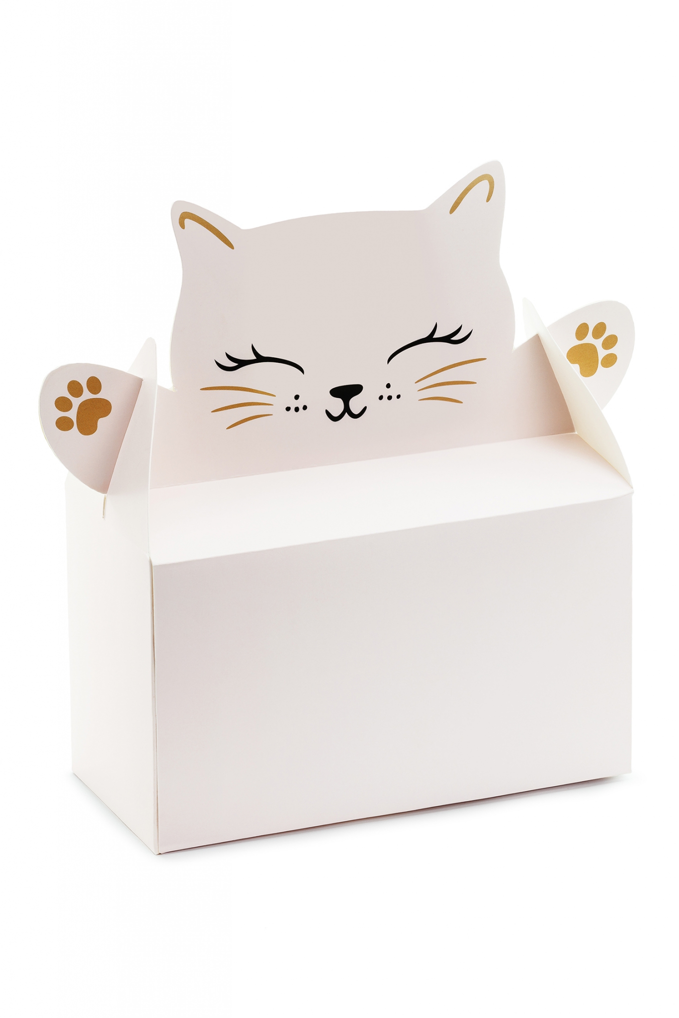 Cake boxes kitten