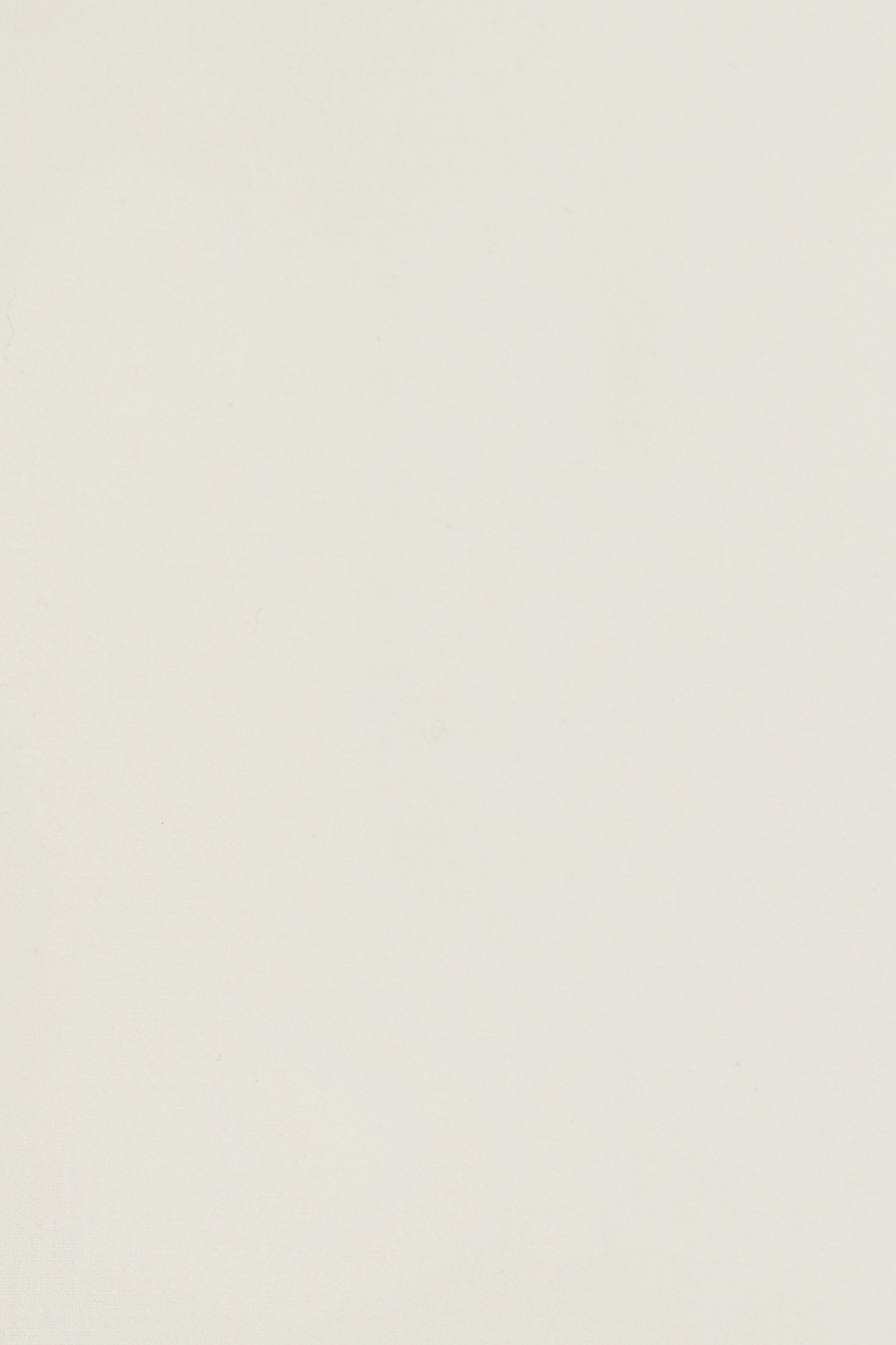 Silk organza PREMIUM XORGBIO SILK 07086