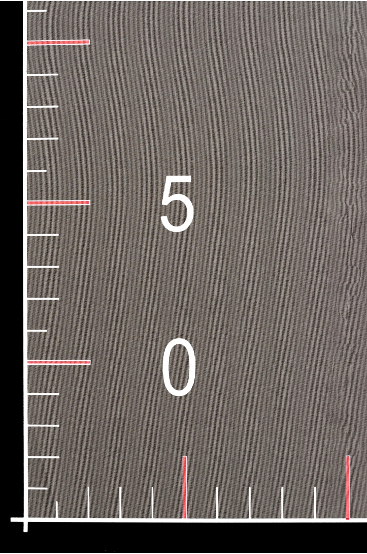 Seidenorganza PREMIUM XORGBIO SILK 07086