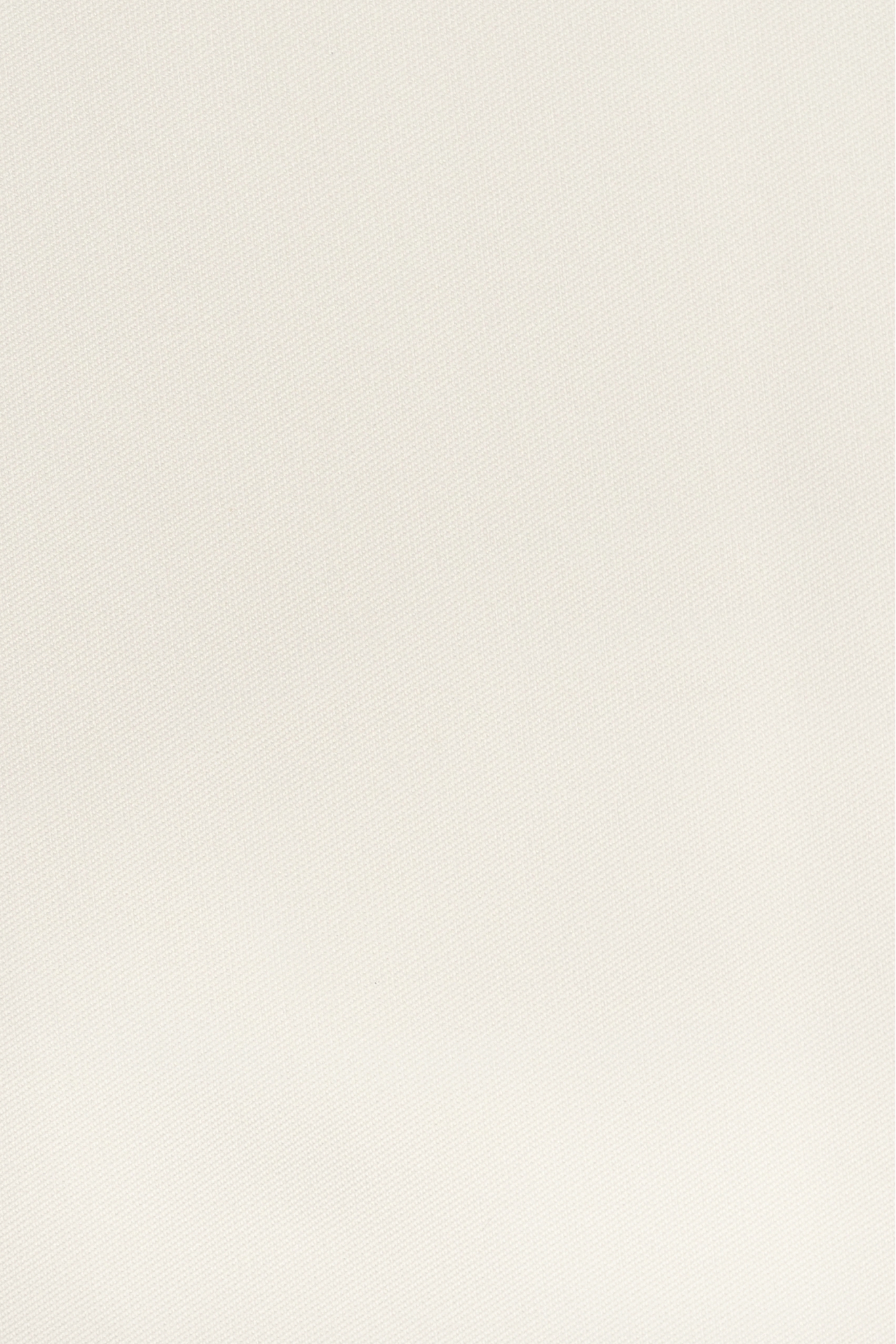 Seidenorganza PREMIUM XORGBIO SILK 07086