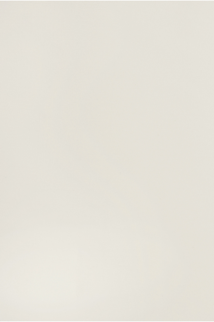 Seidenorganza PREMIUM XORGBIO SILK 07086