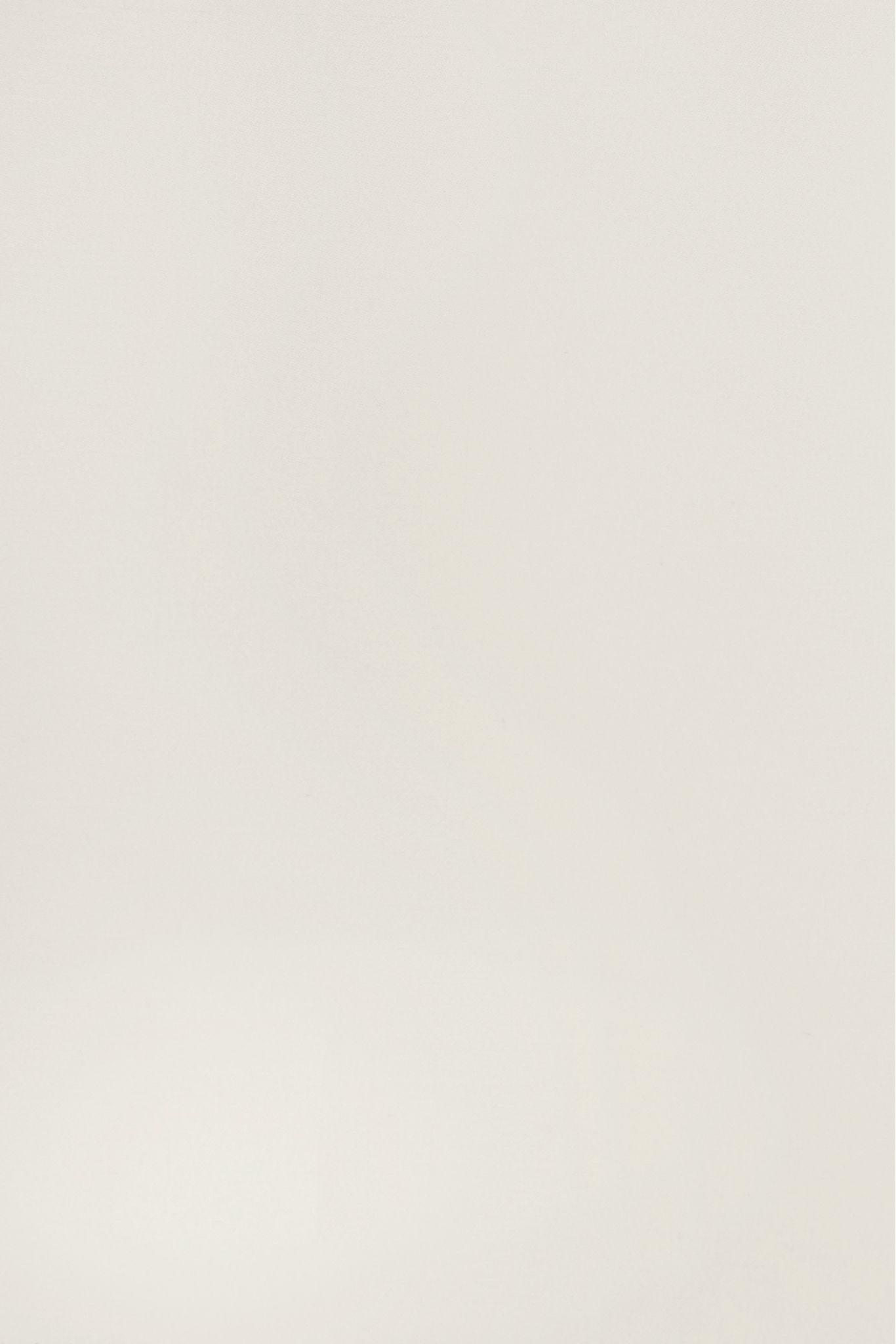 Seidenorganza PREMIUM XORGBIO SILK 07086