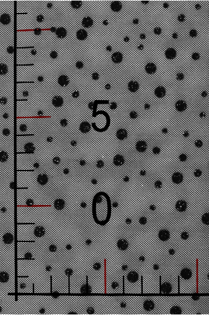 TÜLL MIT GLITZER SKY LGM 3672 PUNKTE