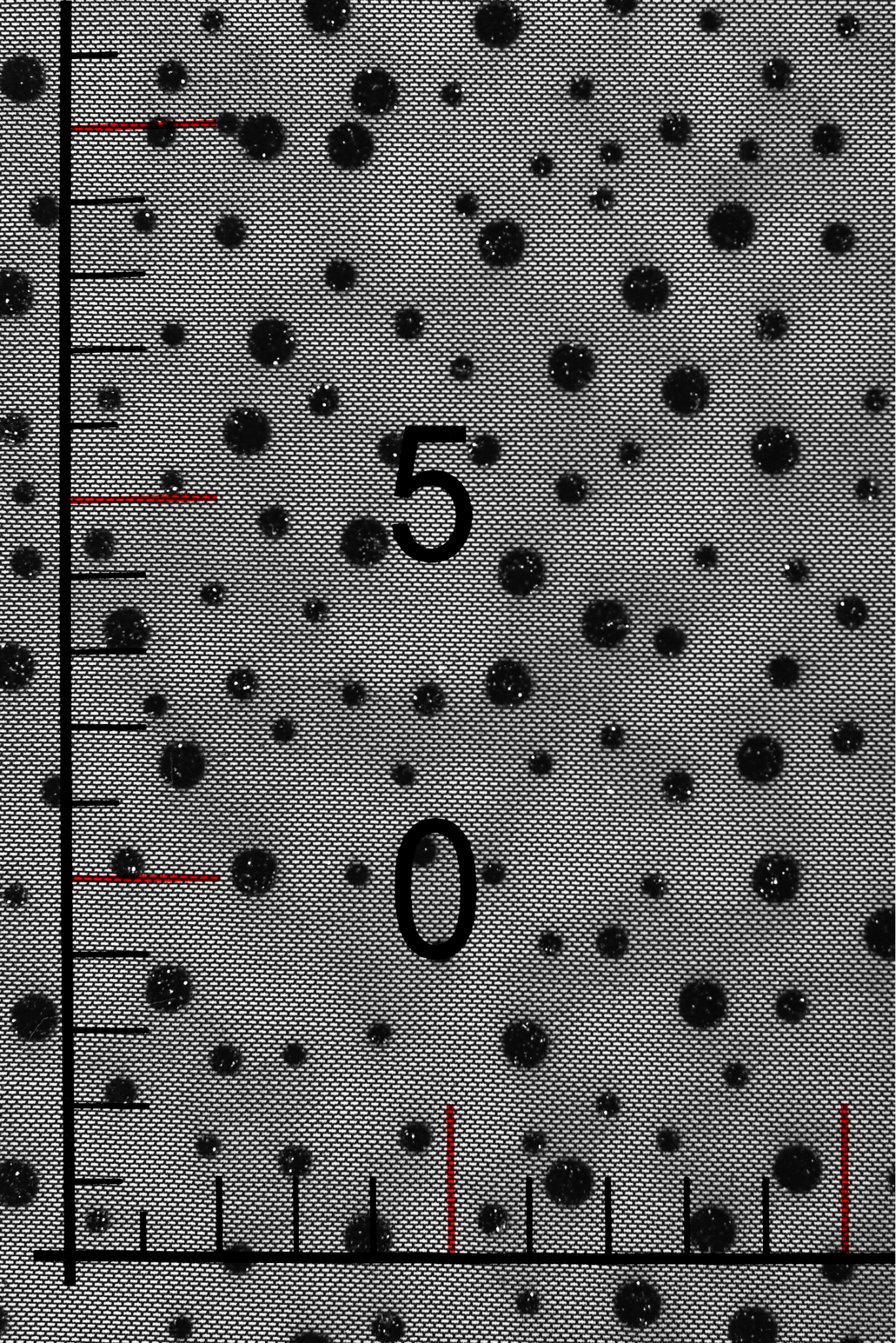TÜLL MIT GLITZER SKY LGM 3672 PUNKTE