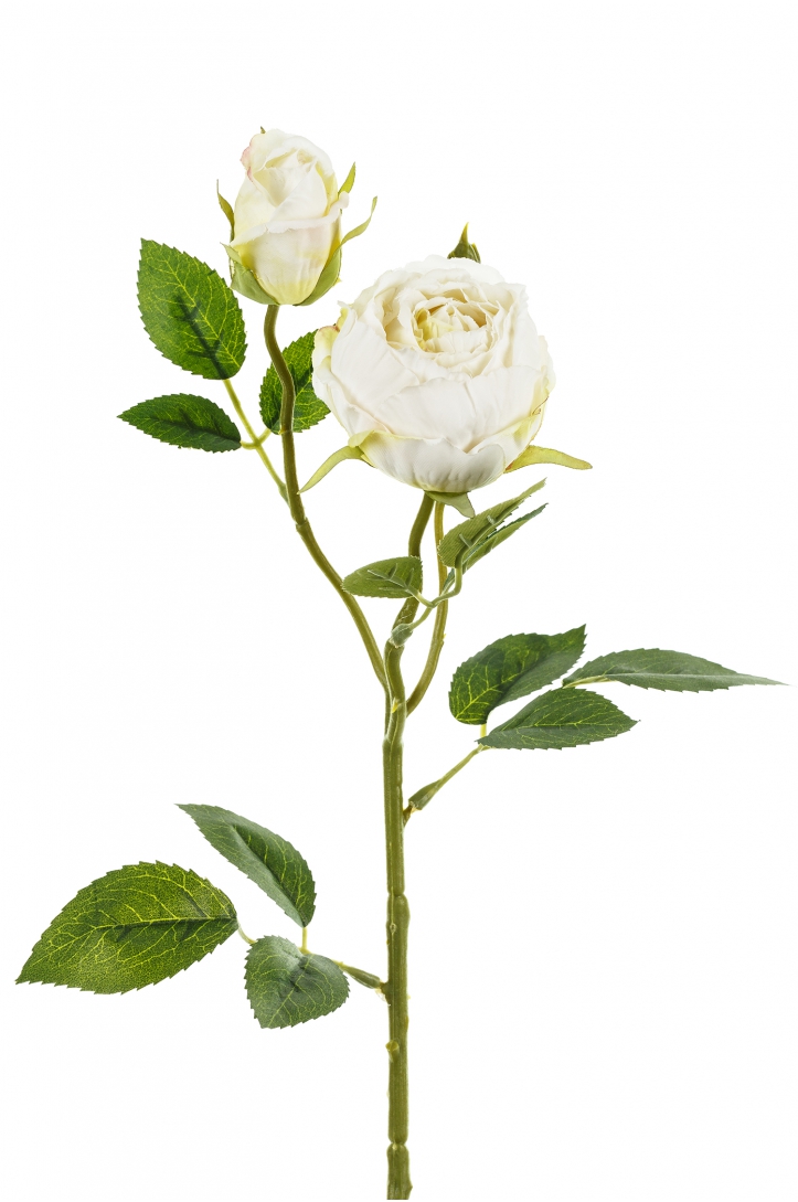 Artificial Flower Rose Cream