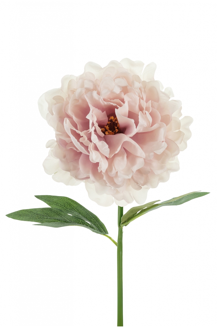 Artificial Flower - Peony