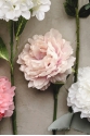 Artificial Flower - Peony