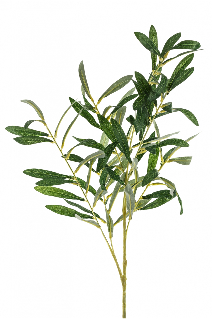 Artificial Olive Branch