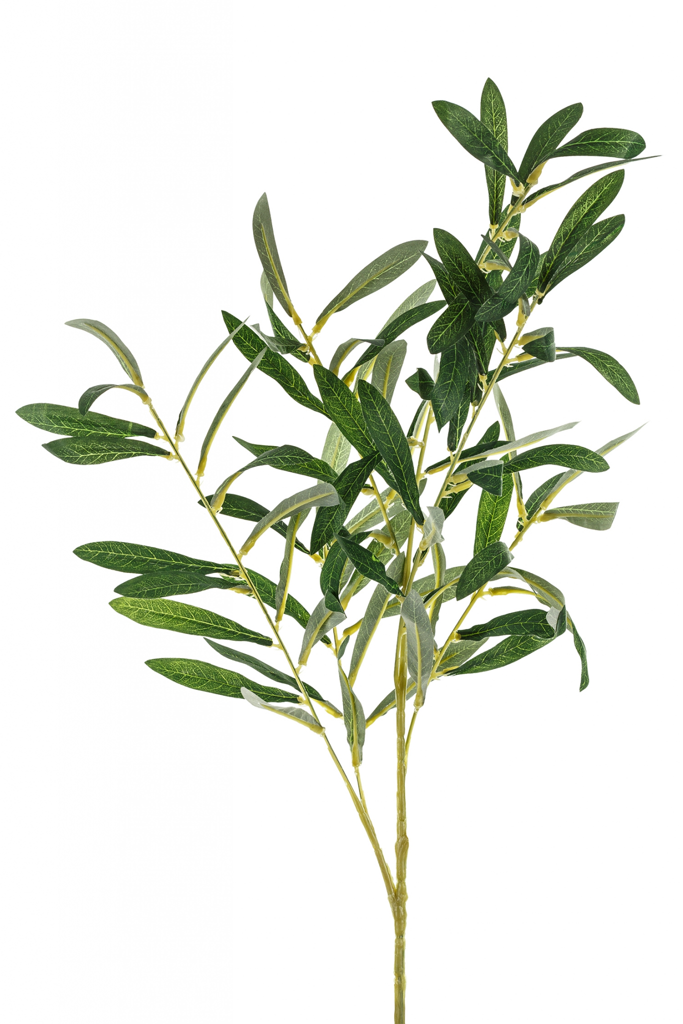 Artificial Olive Branch