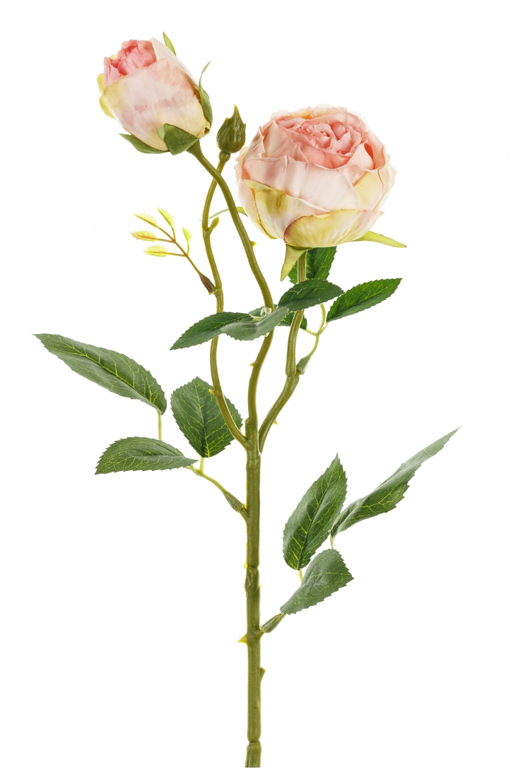 Artificial Flower Rose Cream
