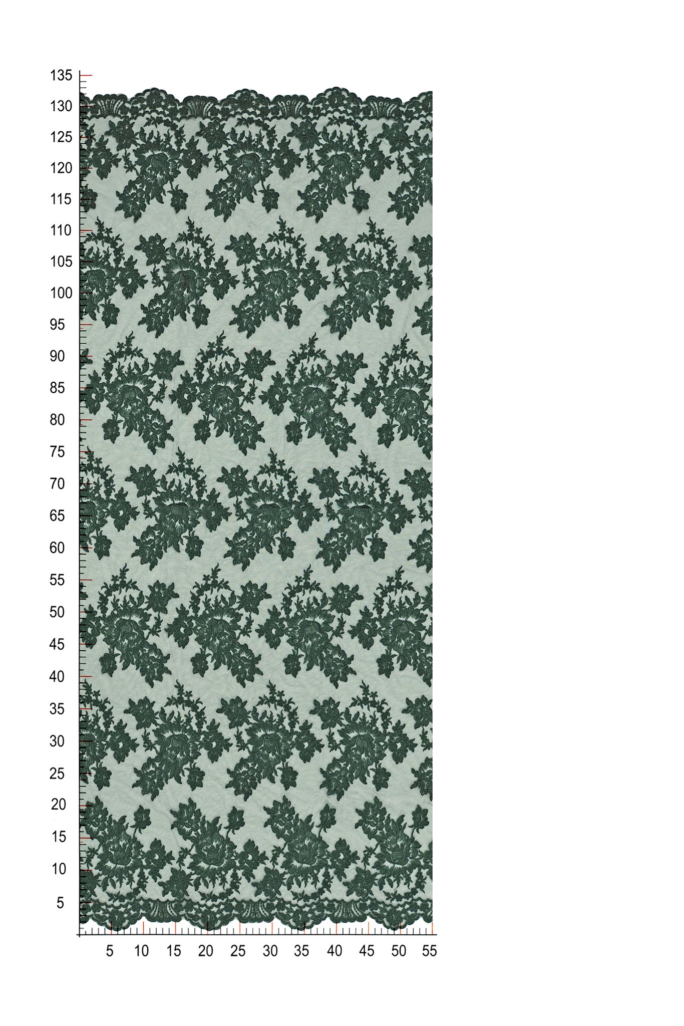 EVENING LACE 13765 HUNTER