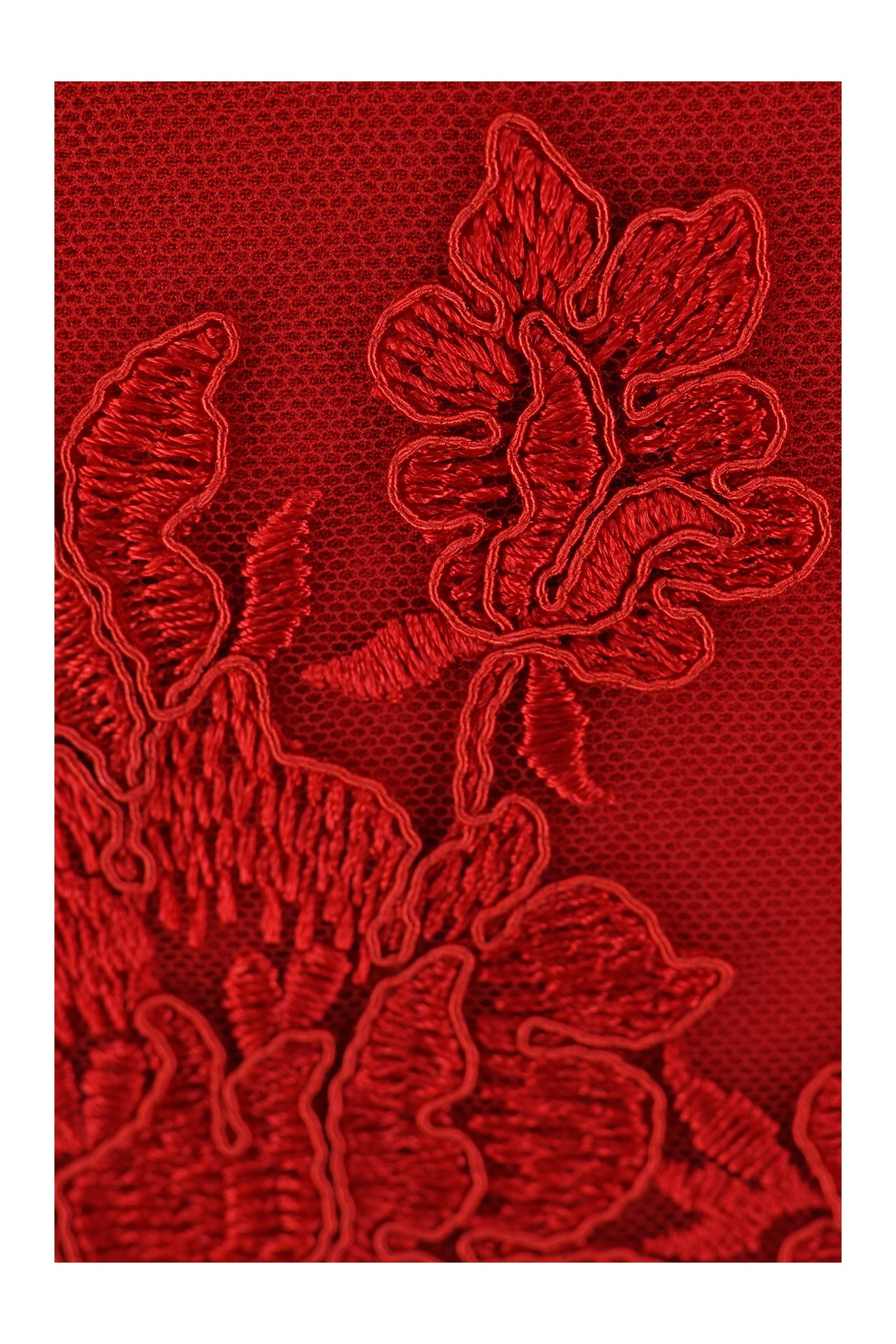 KORONKA WIECZOROWA 13765 RED