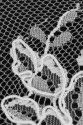 FRENCH LACE W32131