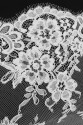 FRENCH LACE W32131