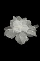 FLOWER 3D 07
