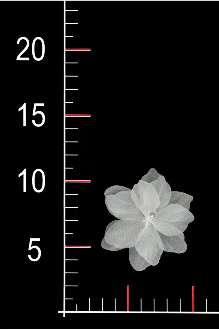 BLUMEN 3D 011