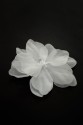 BLUMEN 3D 011