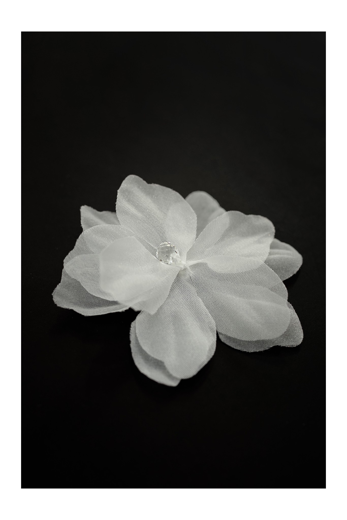 FLOWER 3D 011