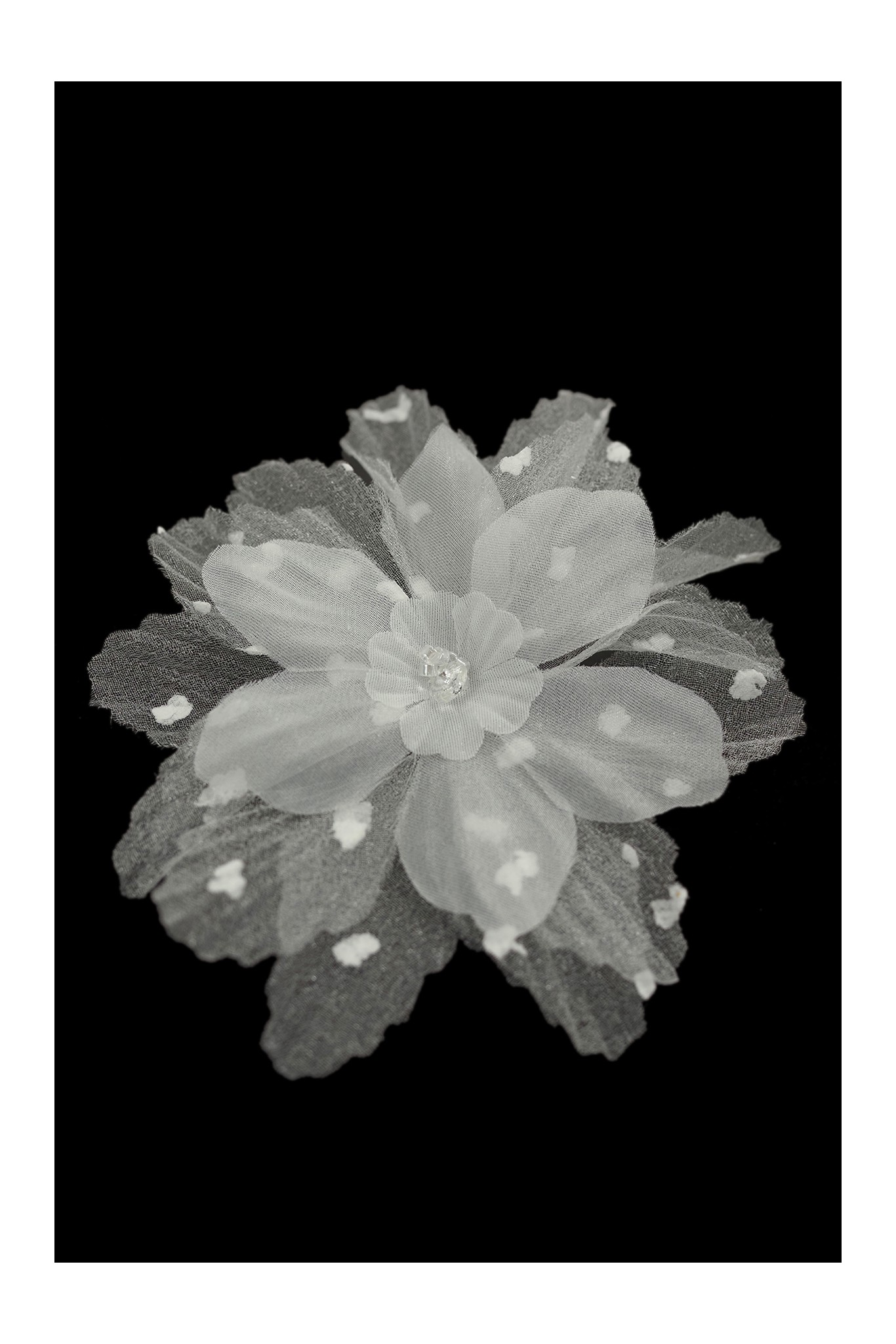 FLOWER 3D 020