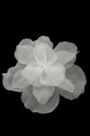 BLUMEN 3D 021