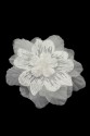 BLUMEN 3D 024
