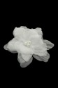 FLOWER 3D 027