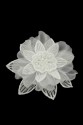 BLUMEN 3D 033