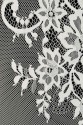 FRENCH LACE VL3584