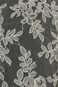 FRENCH LACE W32332 KORD