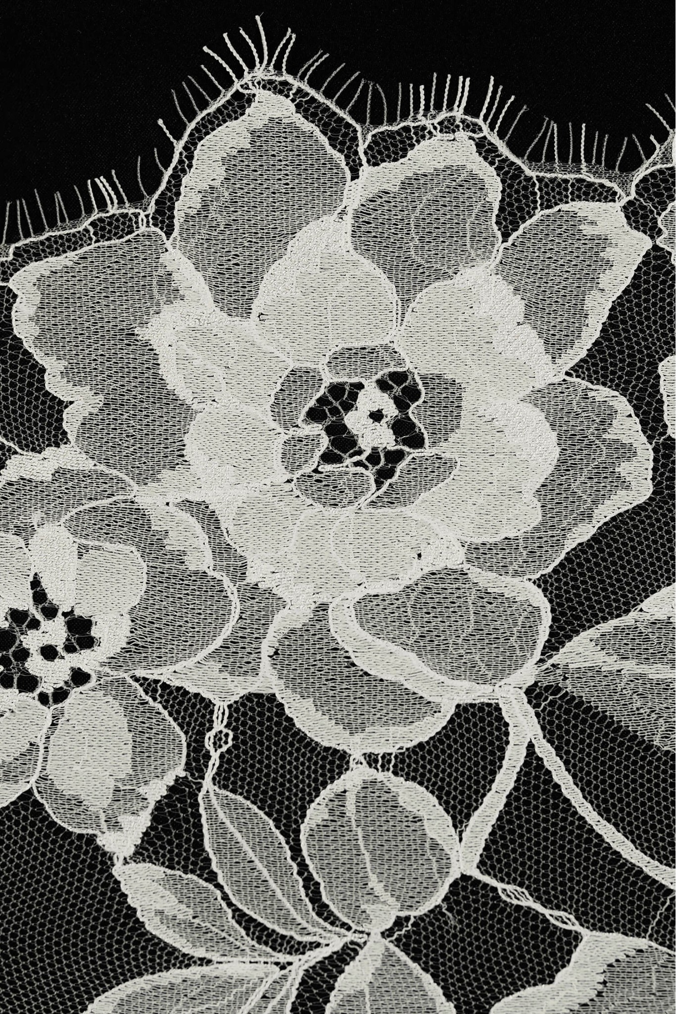 FRENCH LACE W32363 PODKŁAD