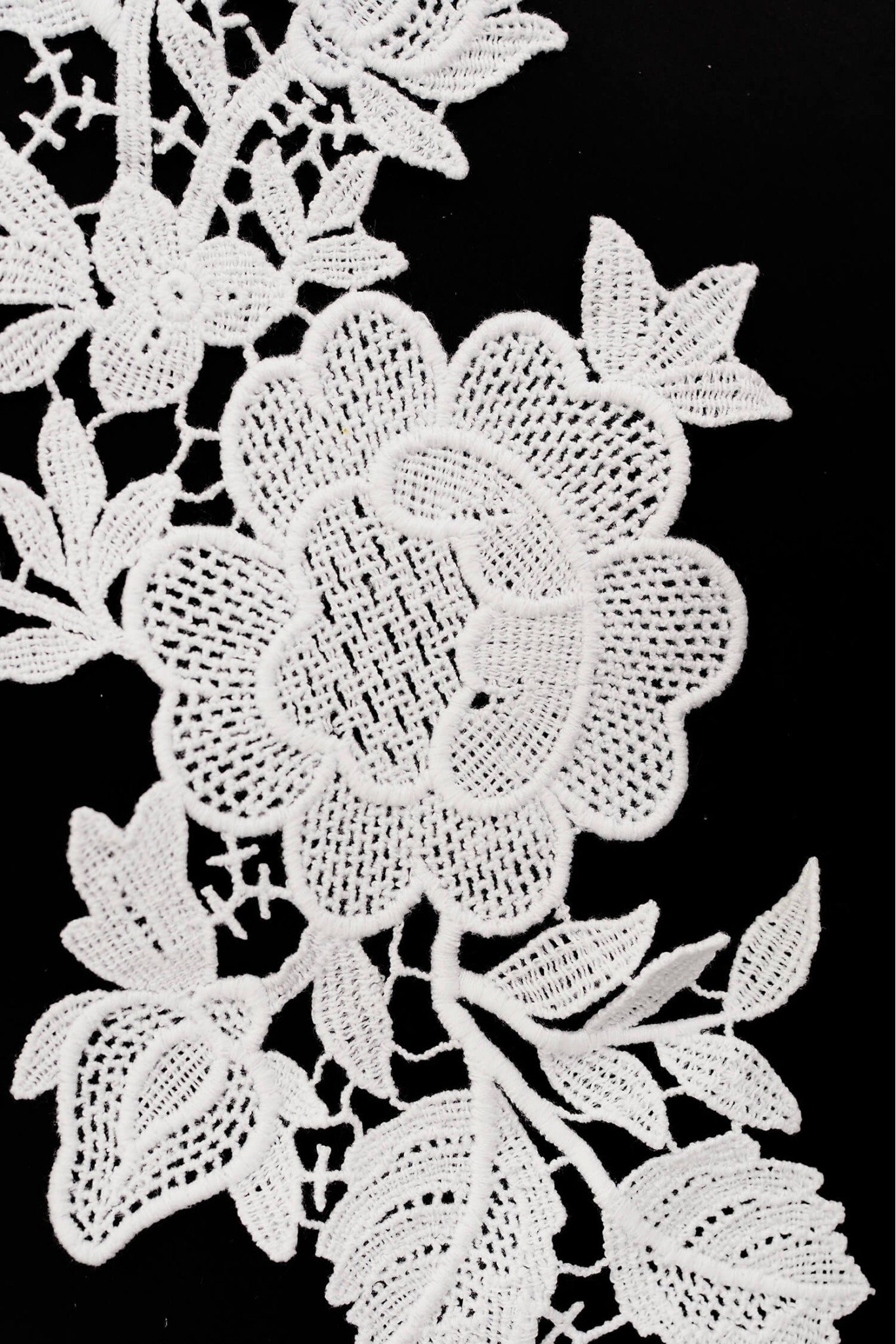 GUIPURE MOTIF WA24398 PV