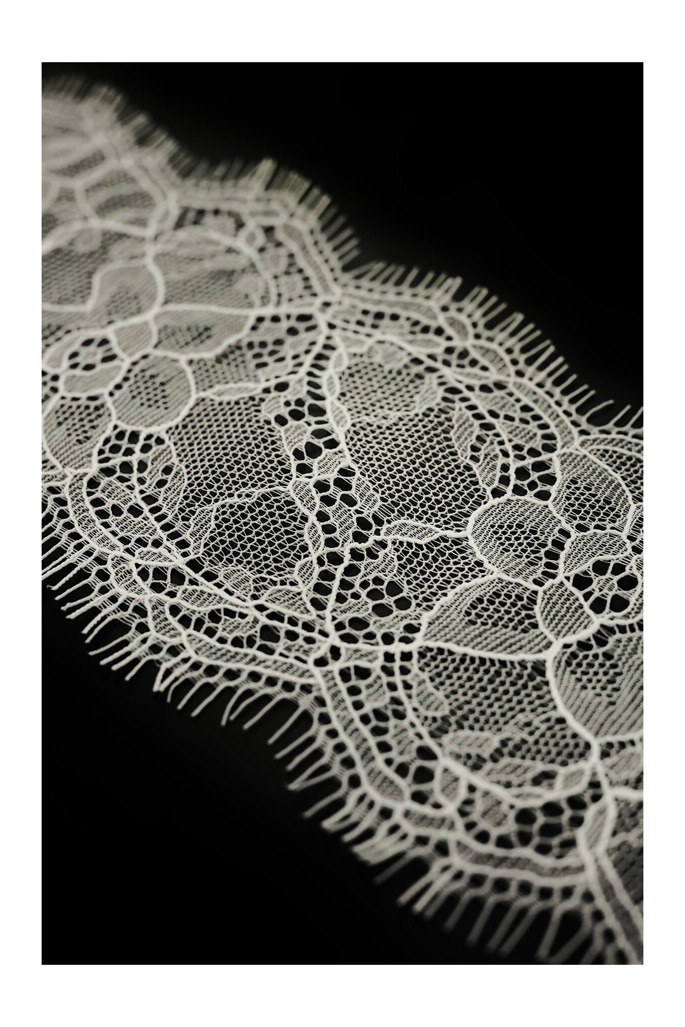 FRANZÖSISCHE BAND VL15012