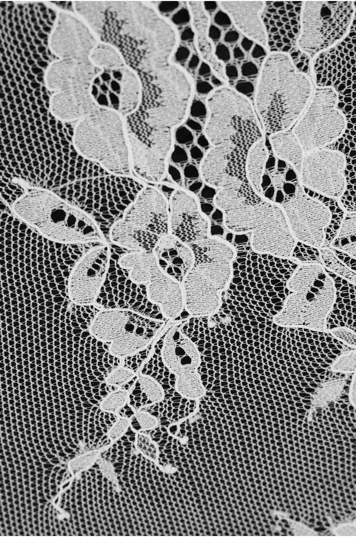 FRENCH LACE VL1679