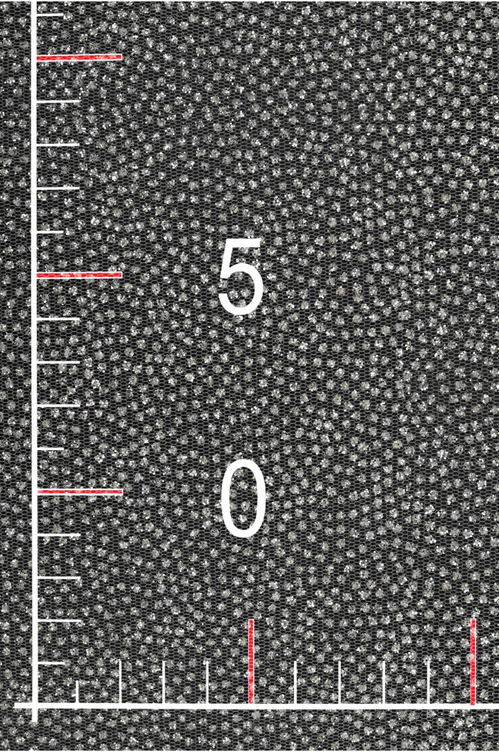 VL0009-1 TÜLL MIT GLITZER dichte Punktdekoration