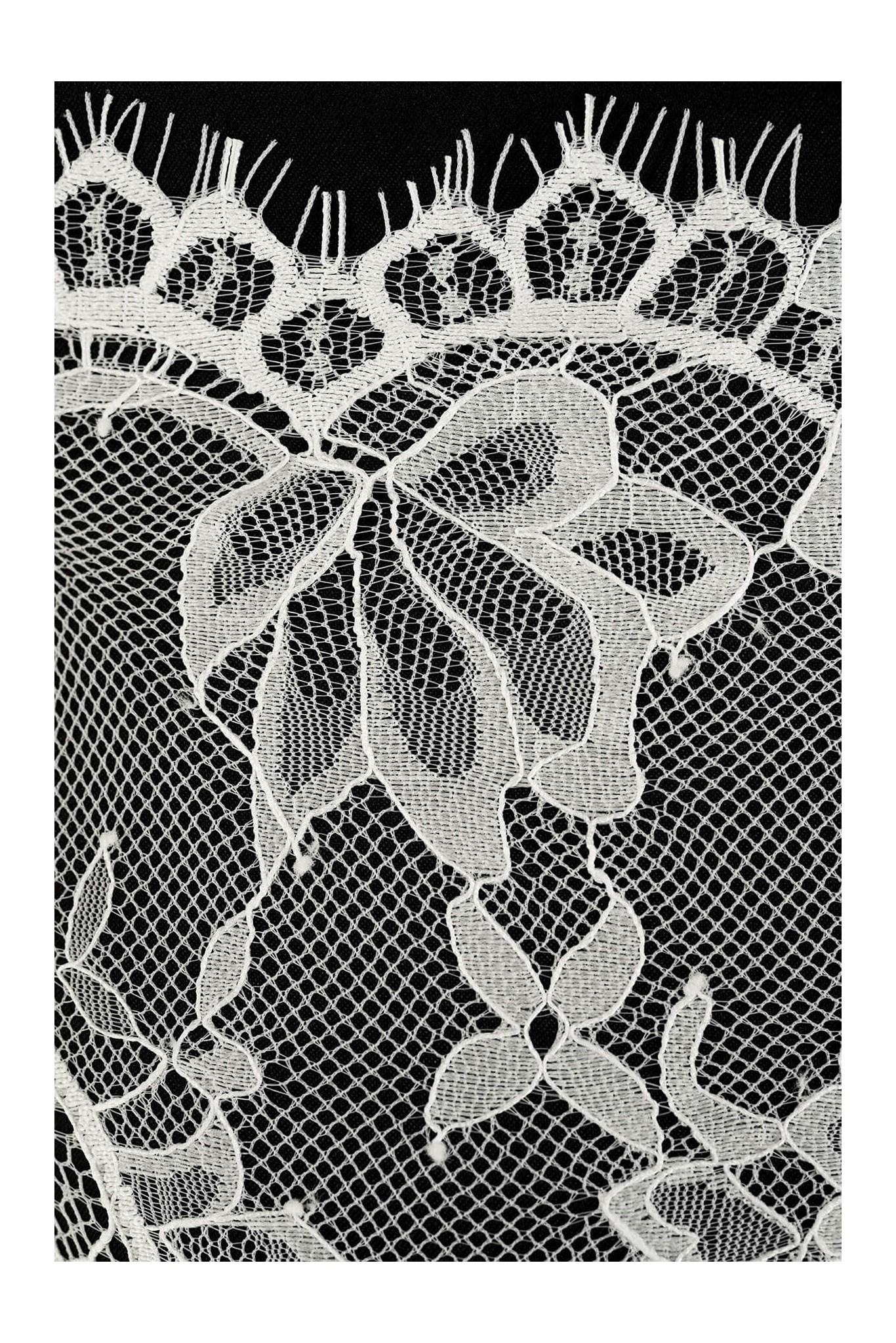 FRENCH LACE VL85230 KORD NIEZDOB