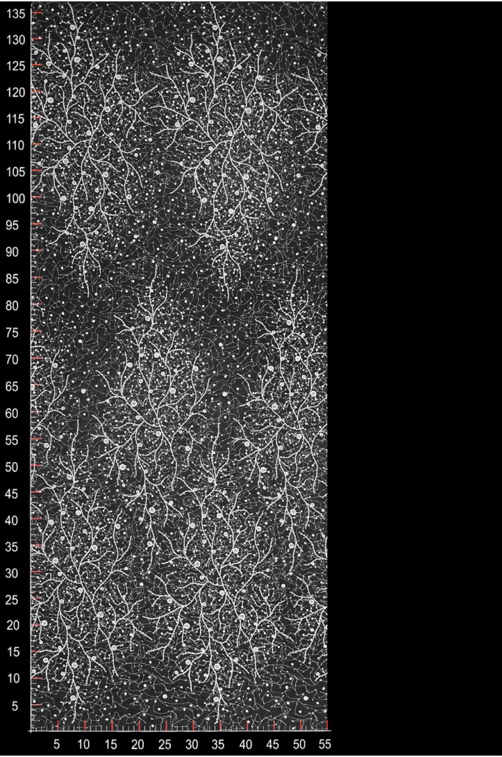 KORONKA ŚLUBNA W52941