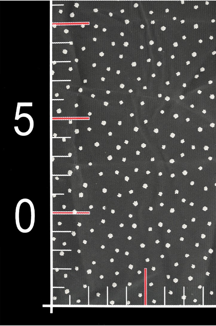 Sample SOFT TULLE WITH DOTS P8-208