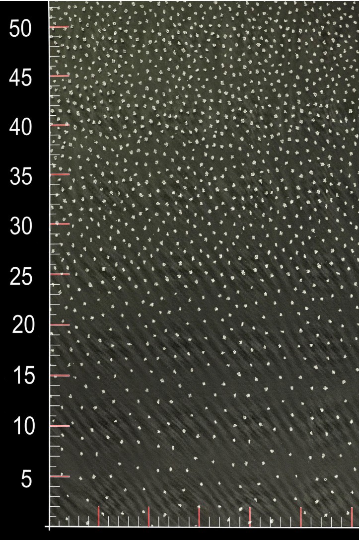 VOB 50 GLITTER TULLE asymetric dots