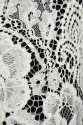 FRENCH LACE W32221 IVORY KORD ZDOB